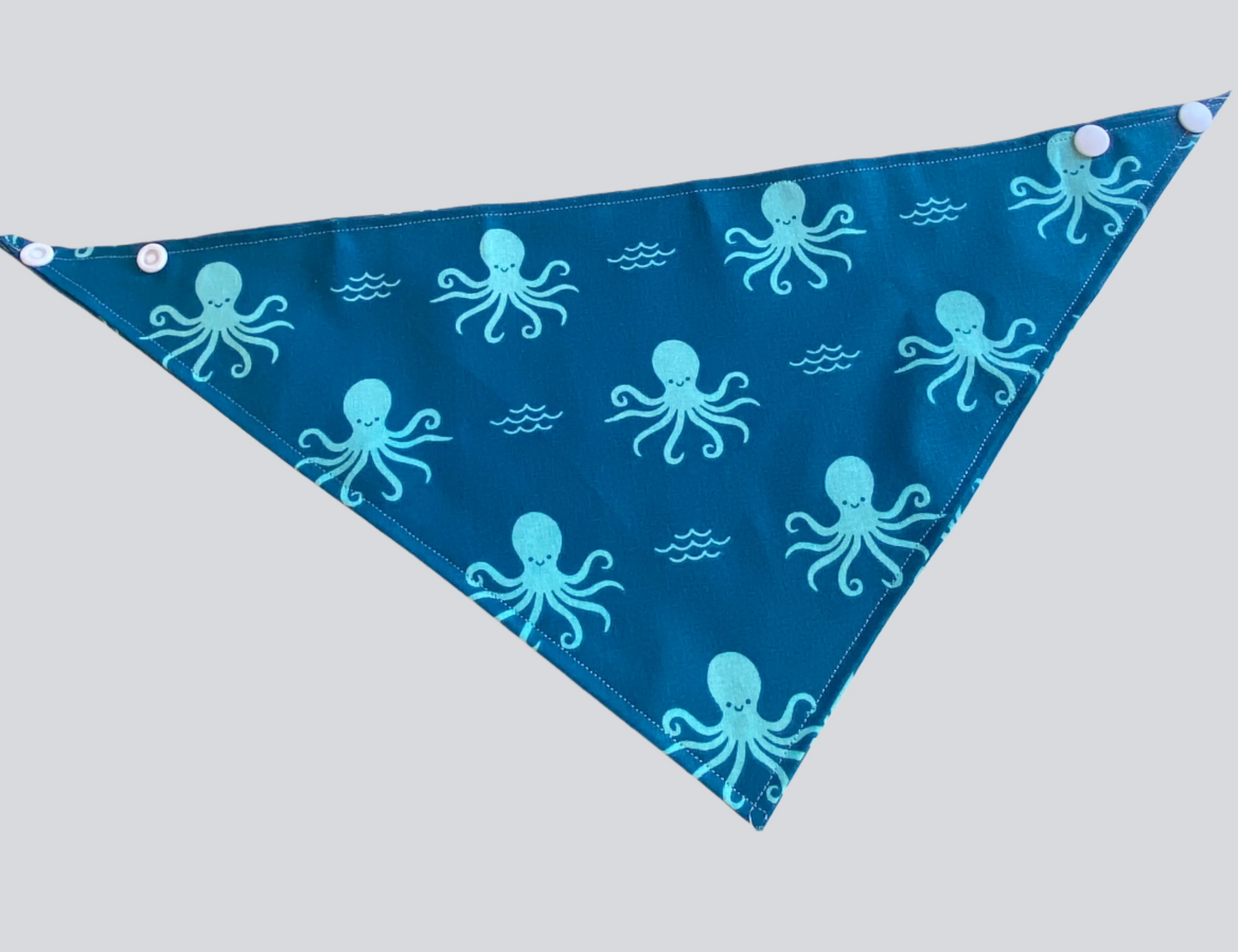 Octopus' Garden