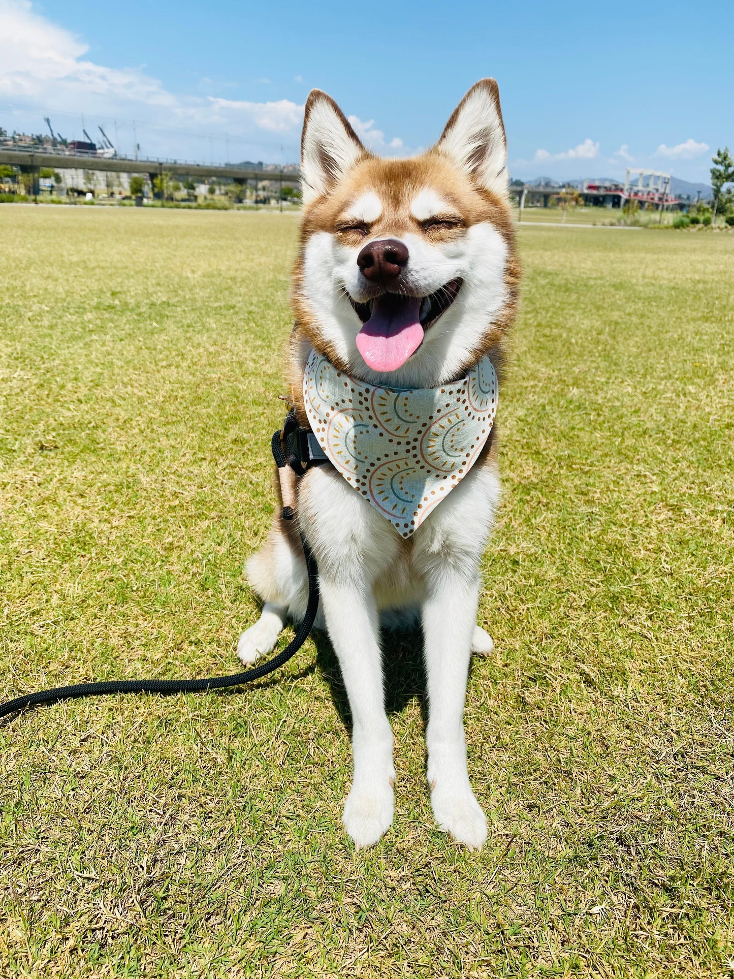 Walking on Sunshine